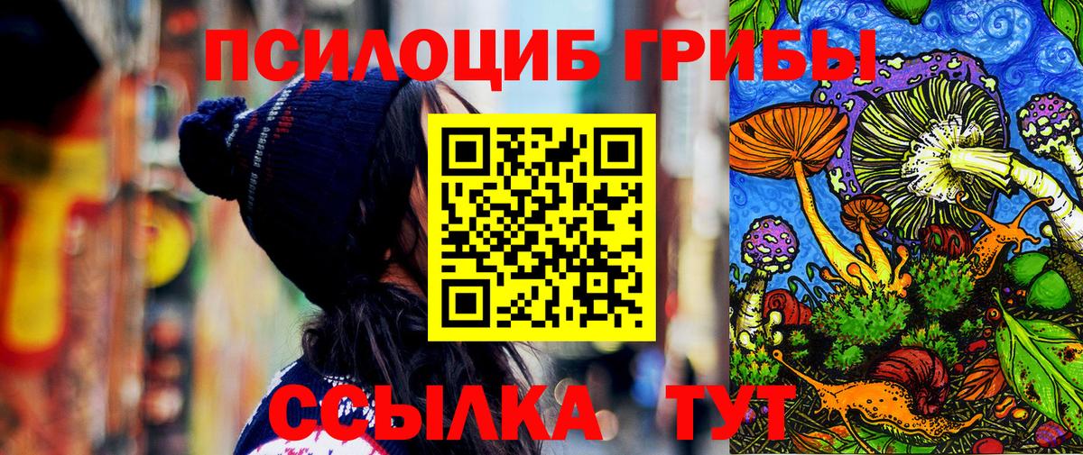 Галлюциногенные грибы GOLDEN TEACHER Таганрог